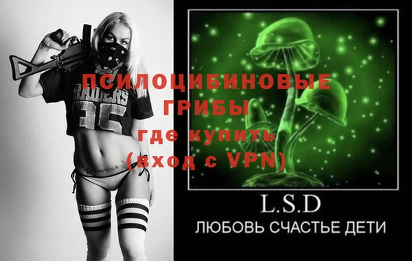прущая мука Абаза