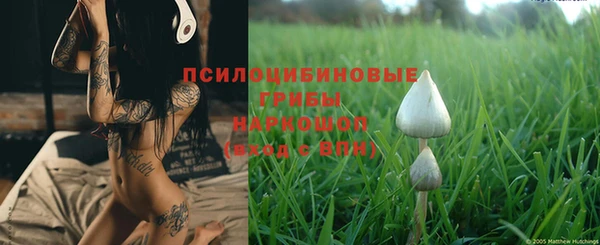 PSILOCYBIN Абинск